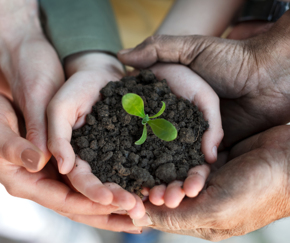 8 Expert Tips for Cultivating a Loyal Theatre Community